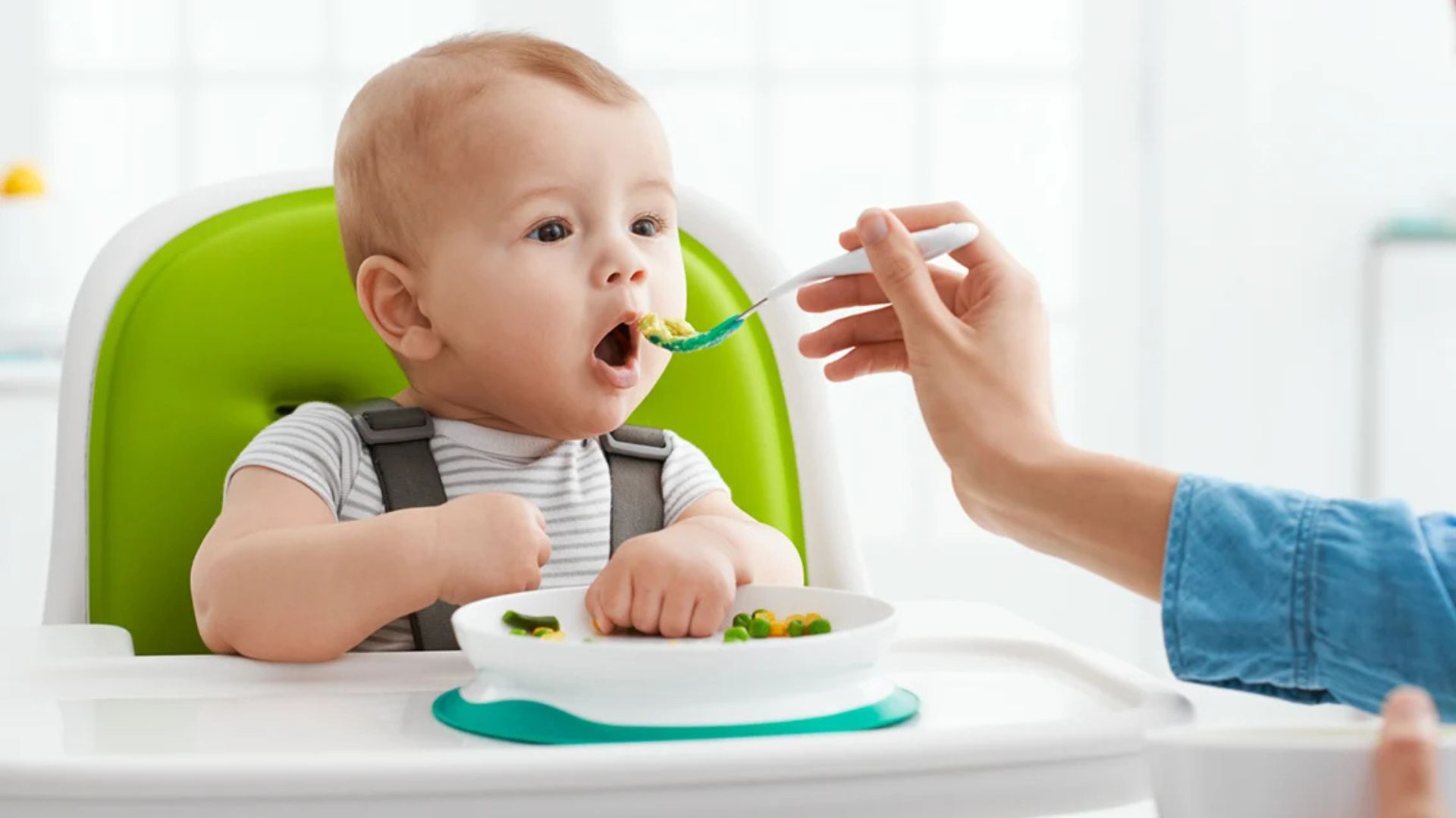 Baby Nutrition and Feeding Basics