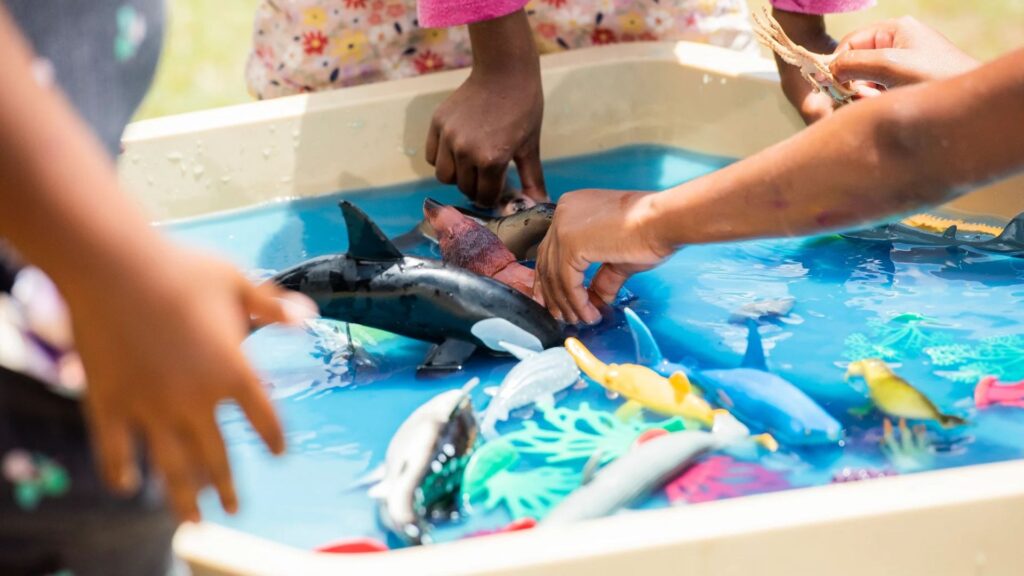 Using Natural Materials in Sensory Activities